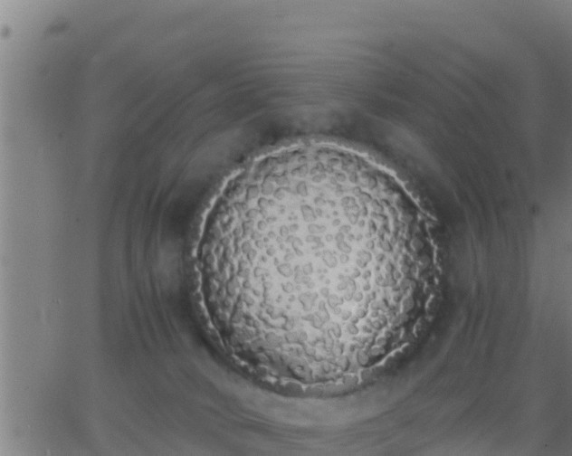 X0000062900034200601201922