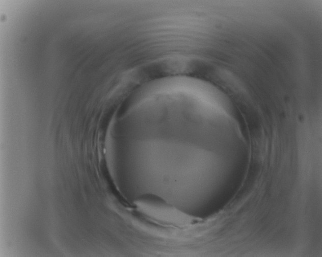 X0000062900035200601201922