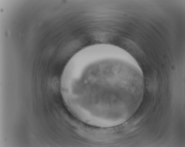 X0000062900036200601201922