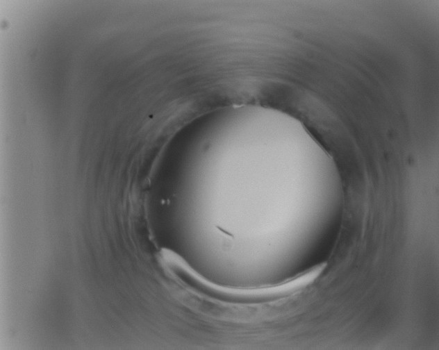 X0000062900037200601201922