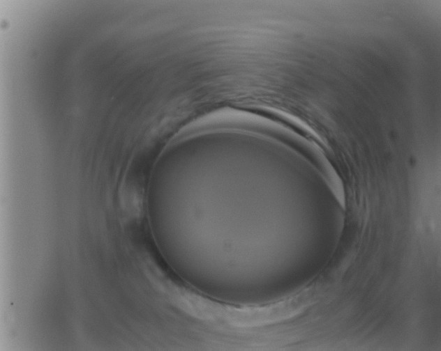 X0000062900039200601201922