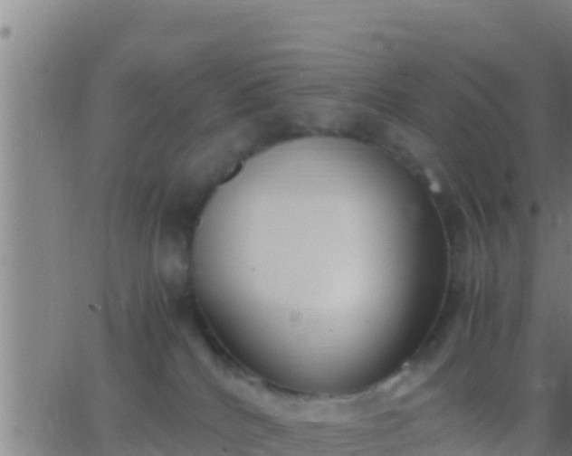 X0000062900040200601201922