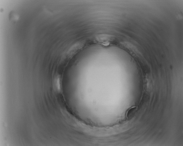 X0000062900042200601201922