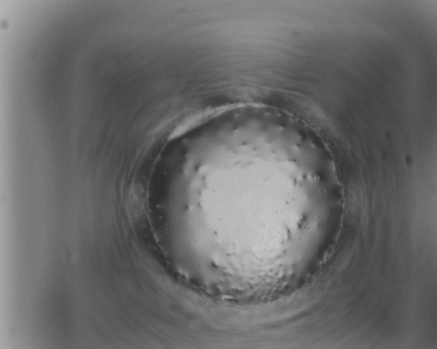 X0000062900043200601201922