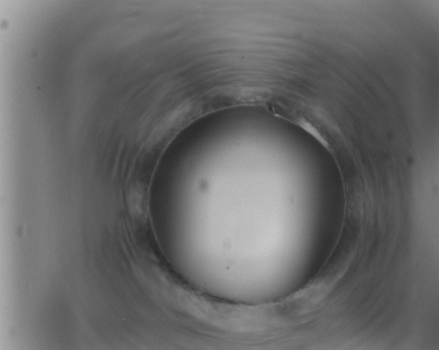 X0000062900044200601201922