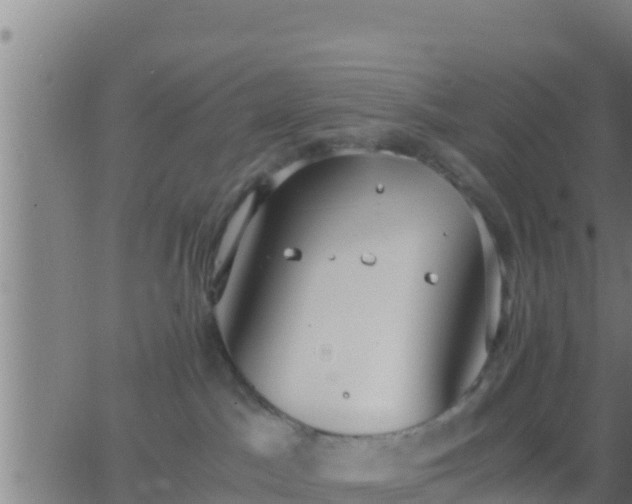 X0000062900045200601201922