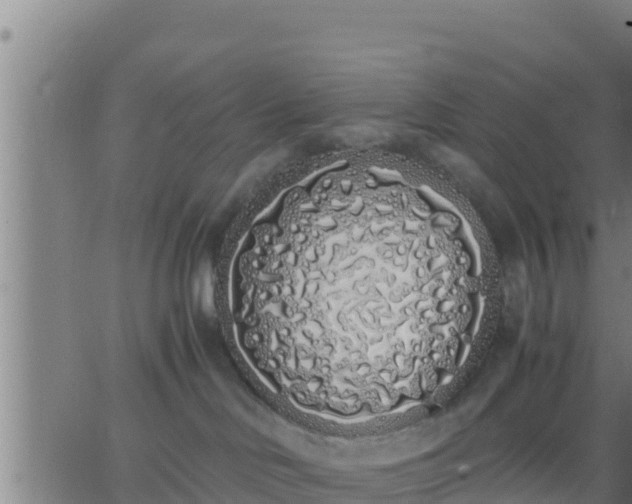 X0000062900046200601201922