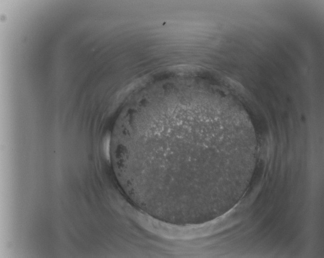 X0000062900047200601201922