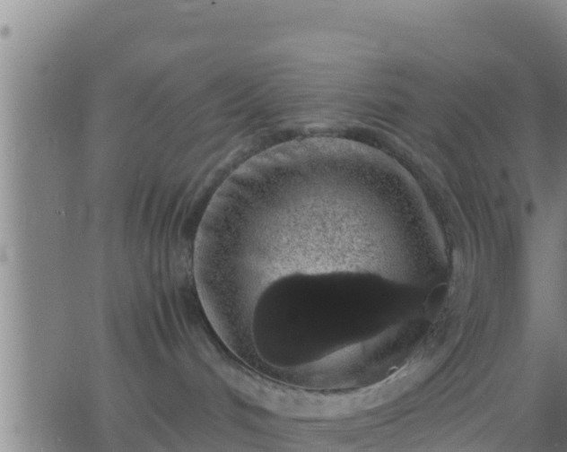 X0000062900048200601201922