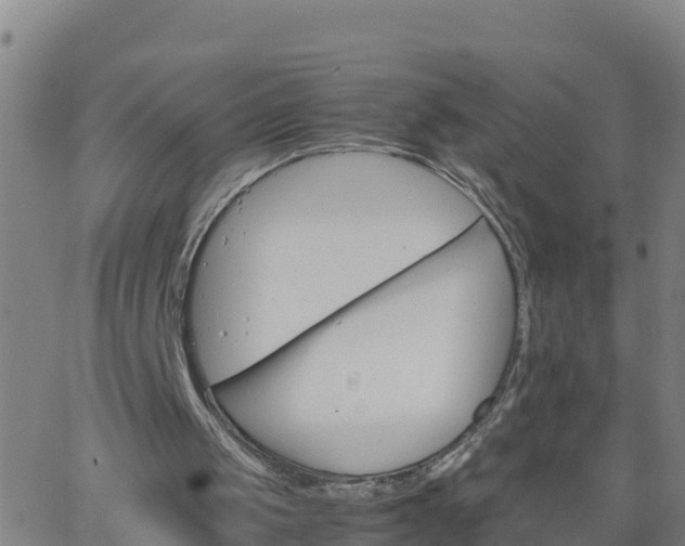 X0000062900049200601201921