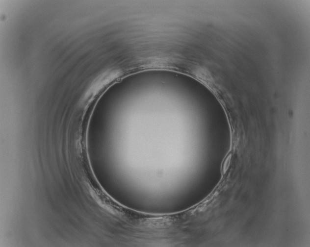 X0000062900050200601201921