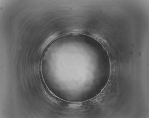 X0000062900051200601201921