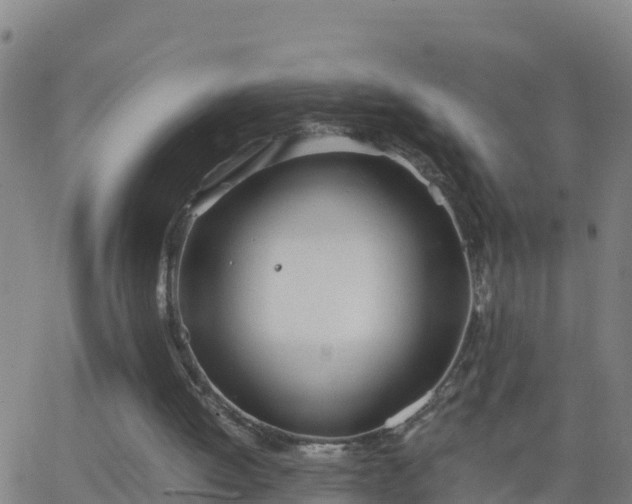 X0000062900052200601201921