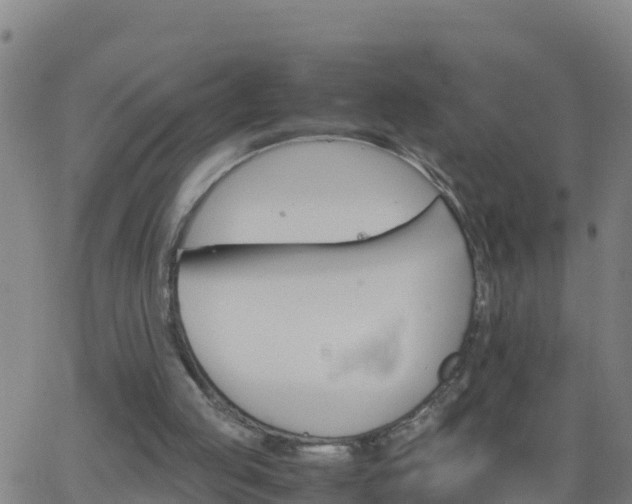 X0000062900053200601201921