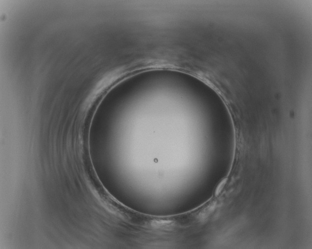 X0000062900055200601201921