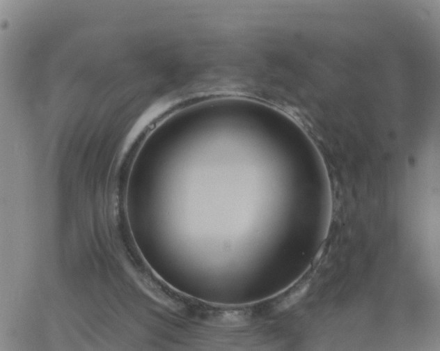 X0000062900056200601201921