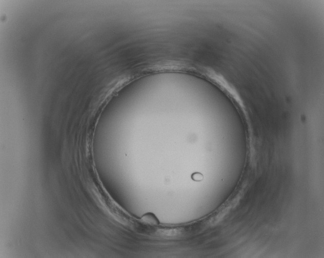 X0000062900057200601201921