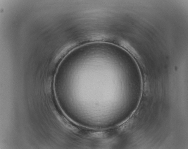 X0000062900058200601201921