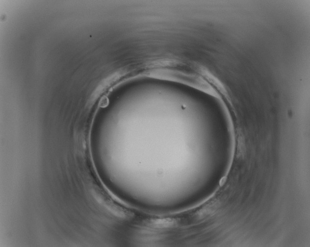 X0000062900059200601201921