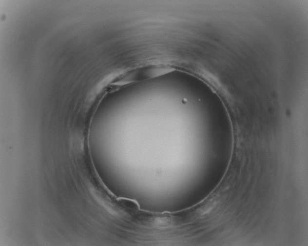 X0000062900060200601201921