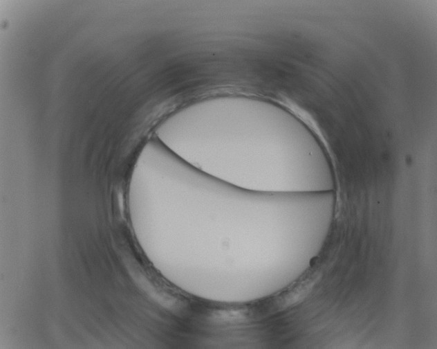 X0000062900061200601201921