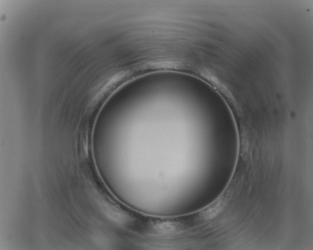 X0000062900062200601201921