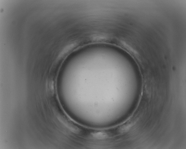 X0000062900067200601201921