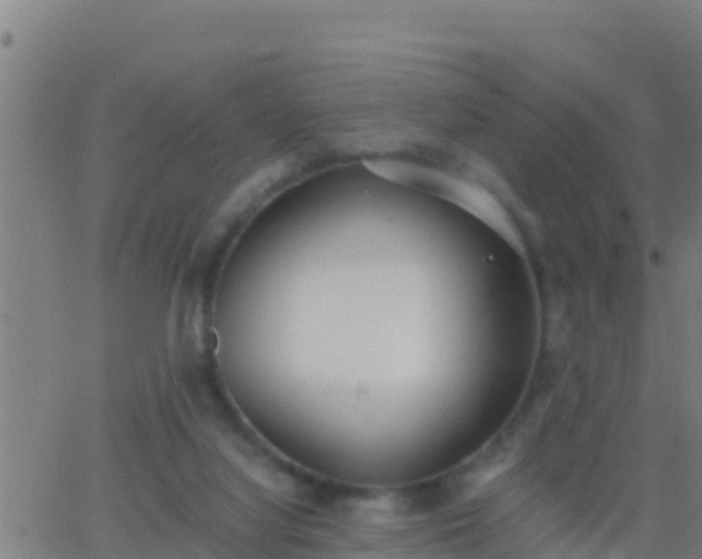 X0000062900068200601201921