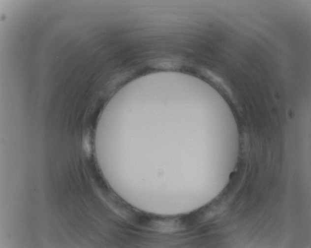 X0000062900069200601201921