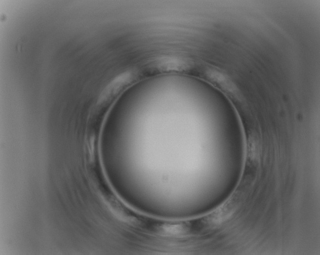 X0000062900070200601201921