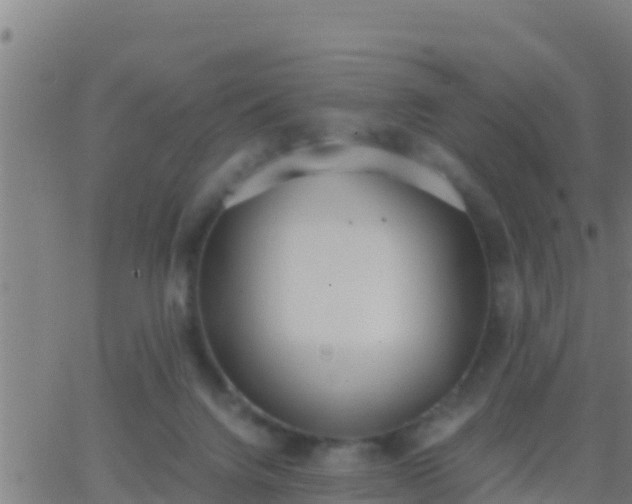 X0000062900072200601201921