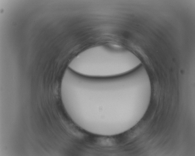 X0000062900073200601201921