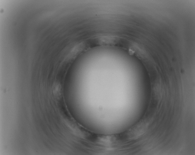 X0000062900079200601201922