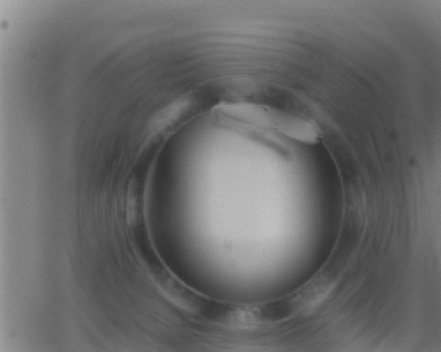 X0000062900080200601201922