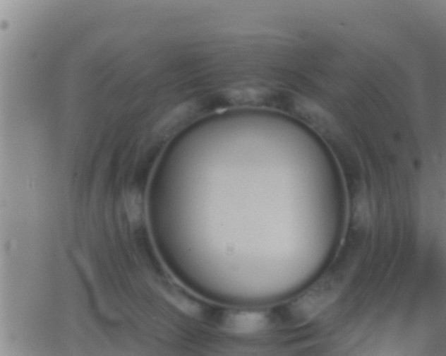 X0000062900081200601201922