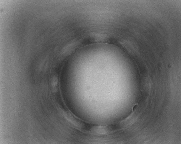 X0000062900082200601201922