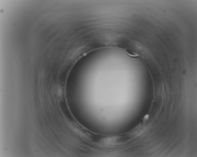 X0000062900084200601201922