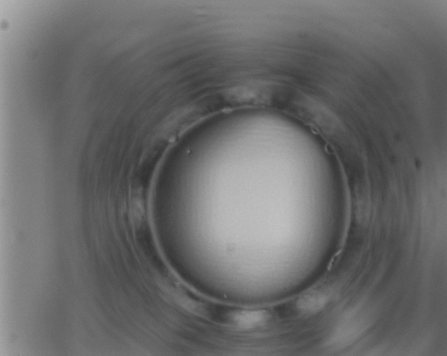 X0000062900085200601201922