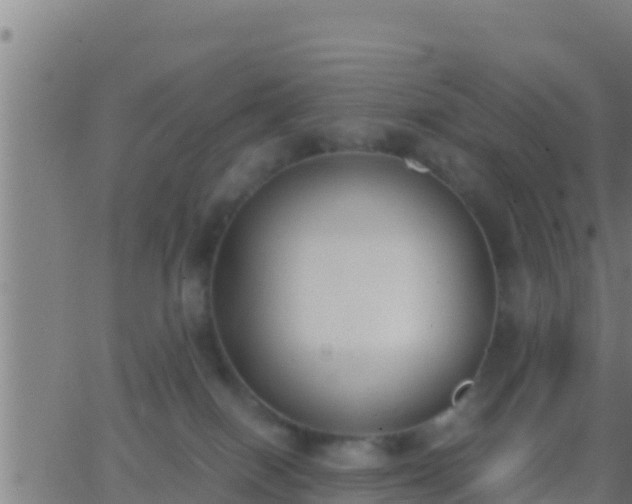 X0000062900086200601201922