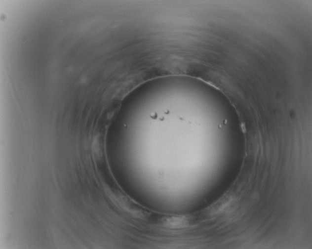 X0000062900088200601201922