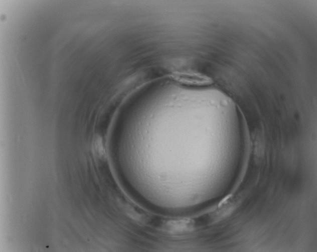 X0000062900089200601201922