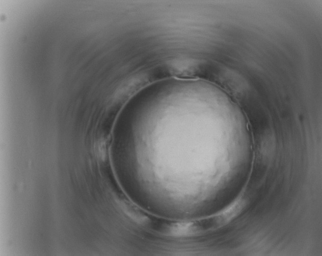 X0000062900090200601201922