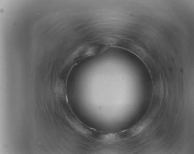 X0000062900092200601201922