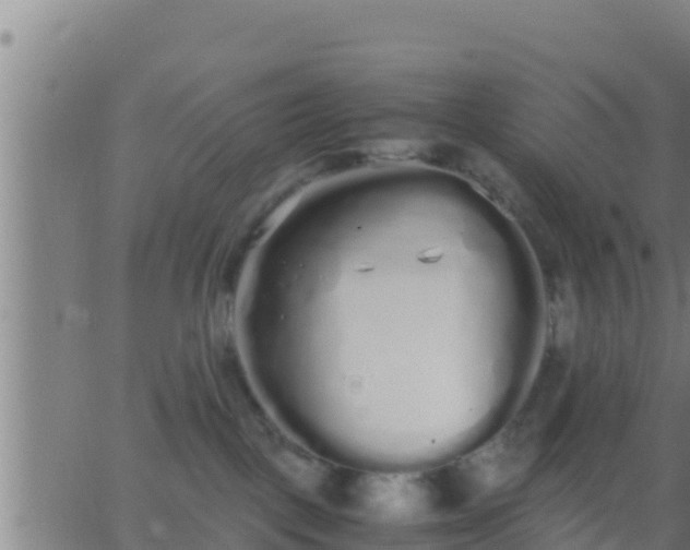 X0000062900093200601201922