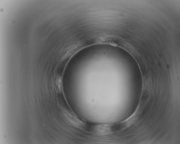 X0000062900094200601201922