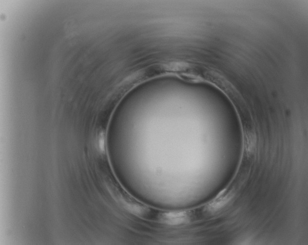 X0000062900095200601201922