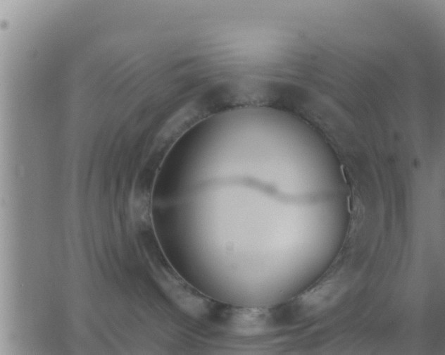 X0000062900096200601201922