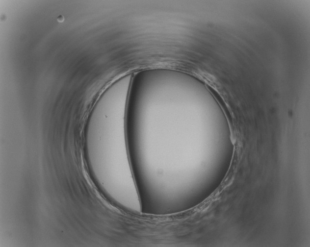 X0000062900097200601201921