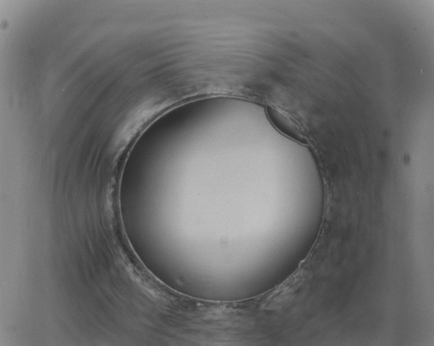 X0000062900098200601201921