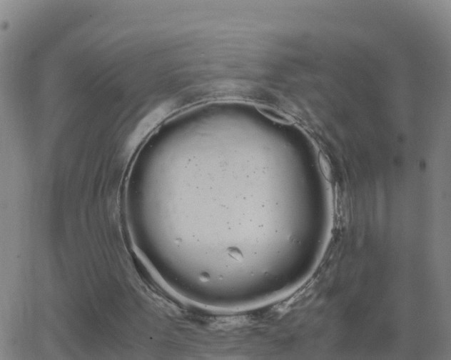 X0000062900099200601201921